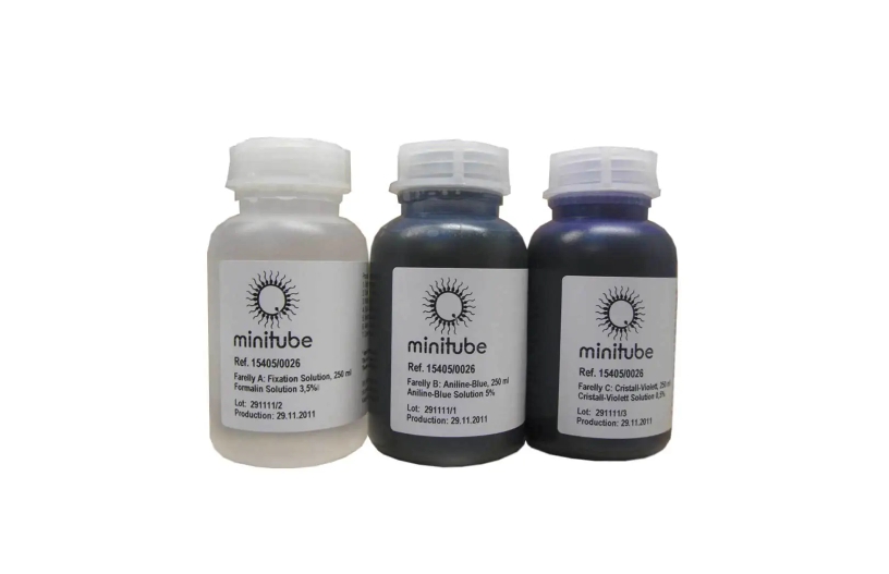 用于形态学评估的 Farelly 染色