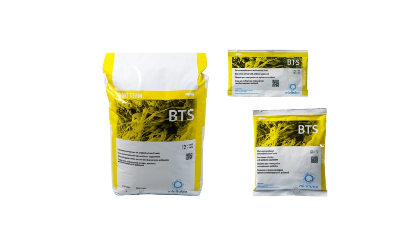 BTS，短期公猪精液延长器