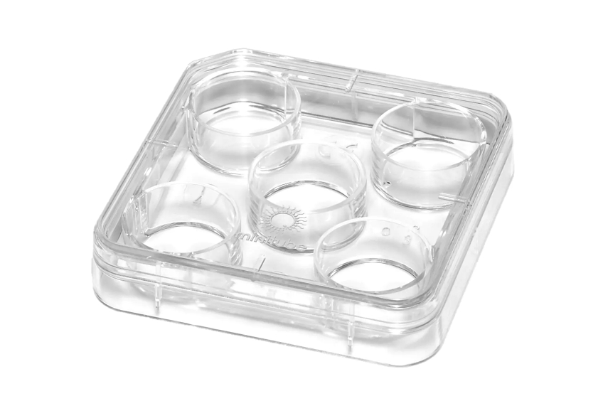 带盖 5 孔培养皿， 灭菌