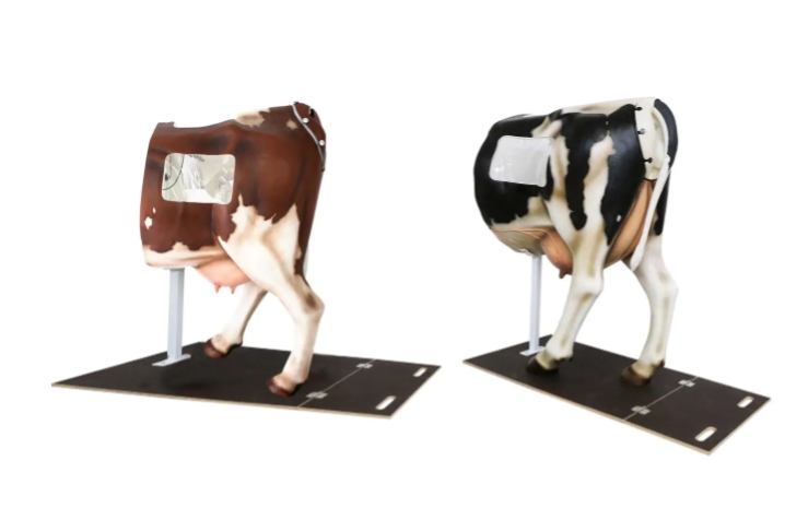 Henryetta，牛 AI 训练模型