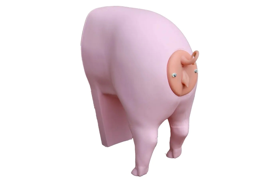 Suzy 猪 AI 训练模型