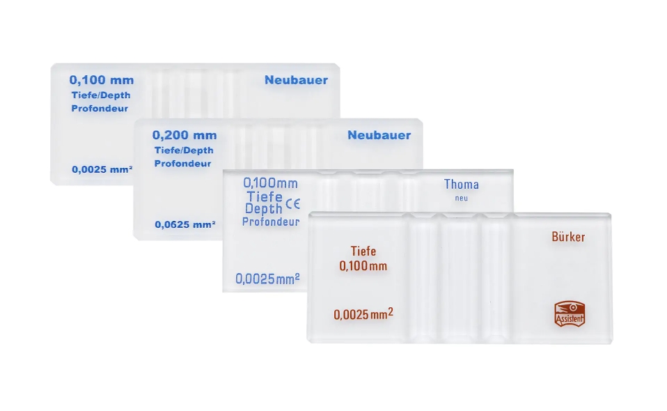 “Thoma new”计数室，带 2 个盖玻片