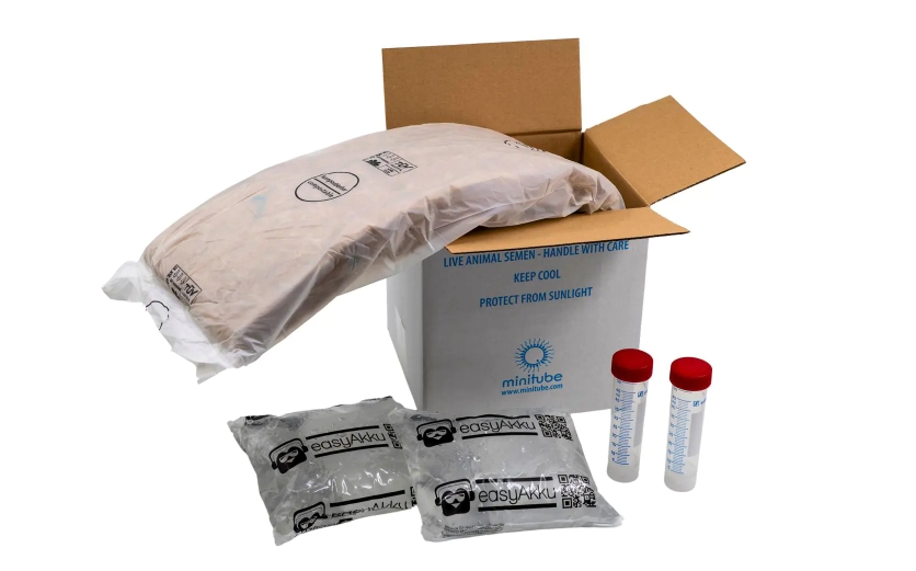 用于冷藏精液的黄麻运输箱