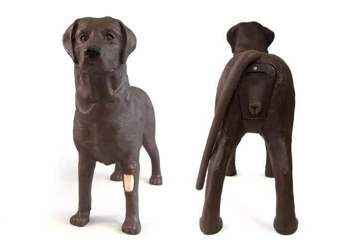 犬类 AI 训练模型 Bertha