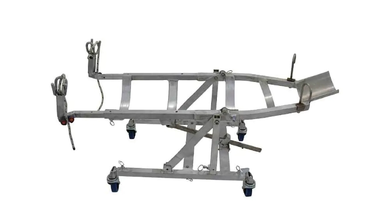 绵羊腹腔镜手术的摇篮