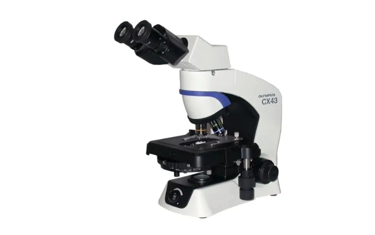 奥林巴斯 CX43 相差显微镜