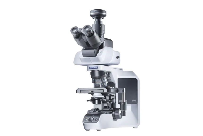 奥林巴斯 BX43 相差显微镜