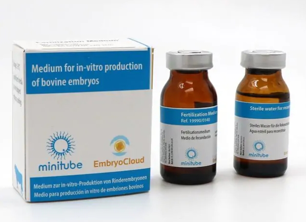 体验新一代 IVP 媒体