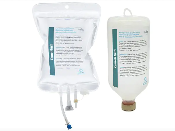 CamelFlush embyro 回收培养基