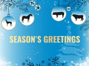  迷你管的季节问候