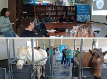  Minitub Ibérica 和 UNEX 的马胚胎移植课程