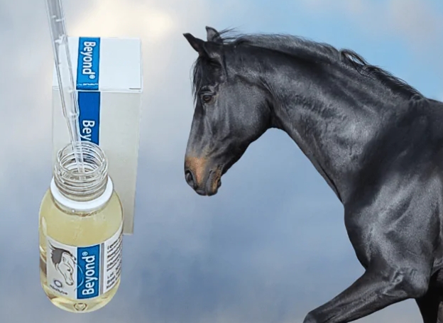 超越®现场条件下的应用