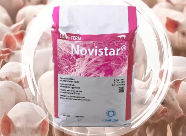 储存的预算友好型卓越