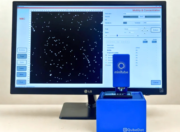 可靠的分析触手可及