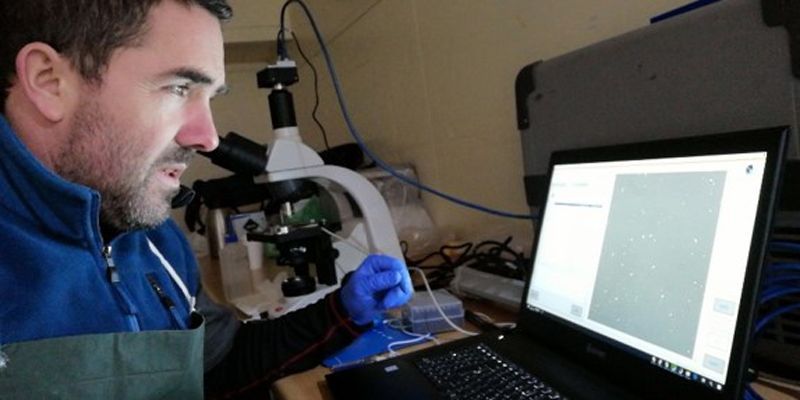 雅罗斯拉夫·波科拉迪