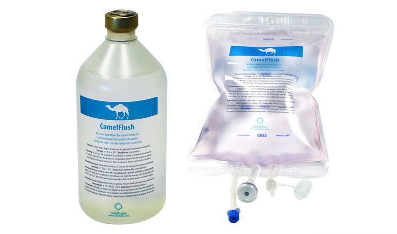 CamelFlush embyro recovery medium 